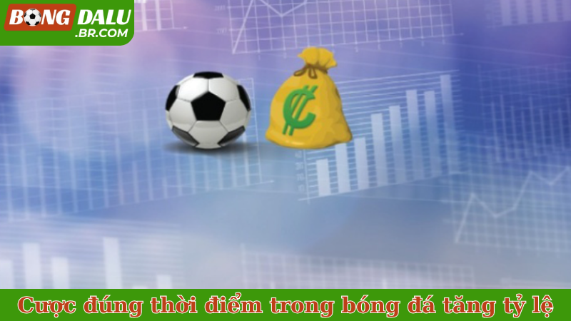 Cược đúng thời điểm trong bóng đá tăng tỷ lệ thắng