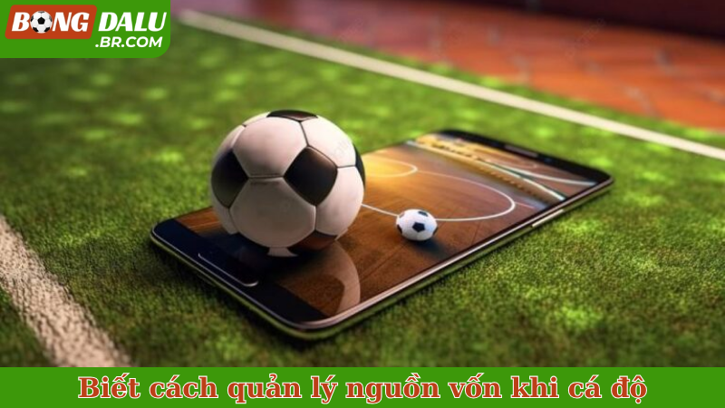 Biết cách quản lý nguồn vốn khi cá độ