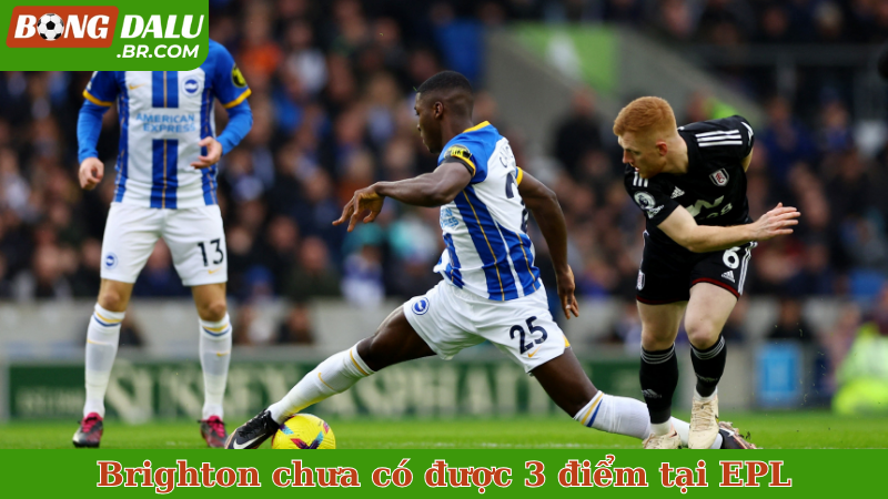 Brighton chưa có được 3 điểm tại EPL