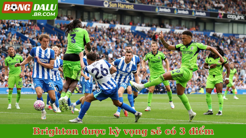 Brighton được kỳ vọng sẽ có 3 điểm
