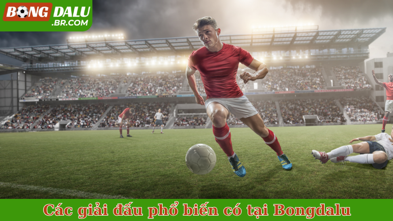Các giải đấu phổ biến có tại Bongdalu