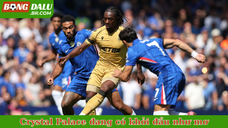 Crystal Palace đang có khởi đầu như mơ