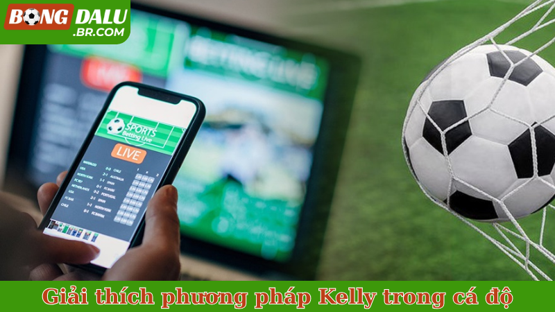 Giải thích phương pháp Kelly trong cá độ